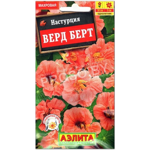Настурция Верд берт