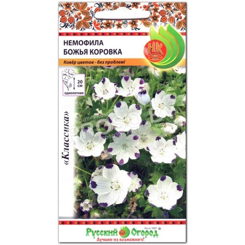 Немофила Божья коровка-1