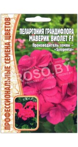 Пеларгония грандифлора Маверик виолет F1