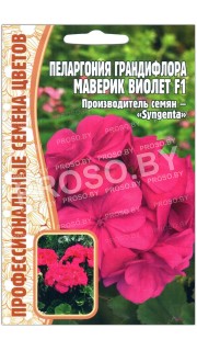 Пеларгония грандифлора Маверик виолет F1