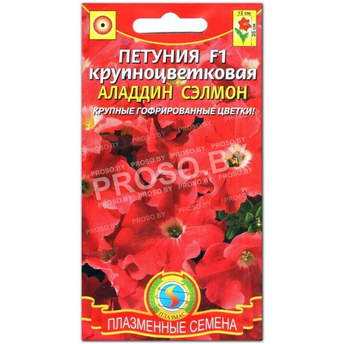 Петуния Аладдин сэлмон F1