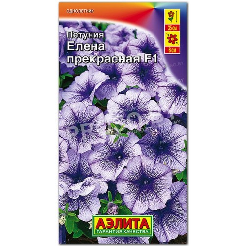 Петуния Елена прекрасная F1
