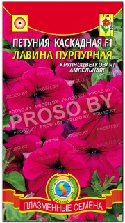 Петуния каскадная Лавина пурпурная F1