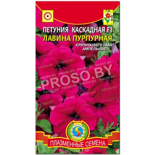 Петуния каскадная Лавина пурпурная F1