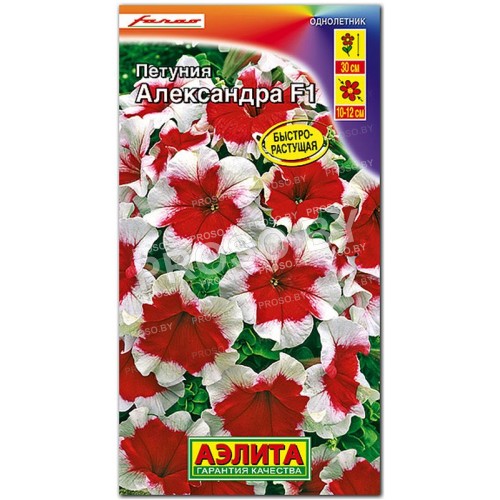 Петуния крупноцветковая Александра F1