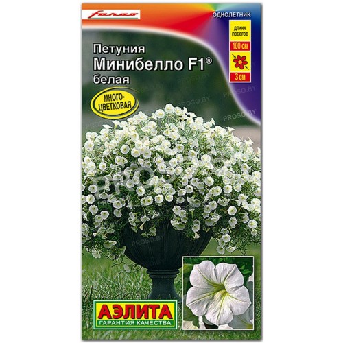 Петуния мини многоцветковая Минибелло белая F1