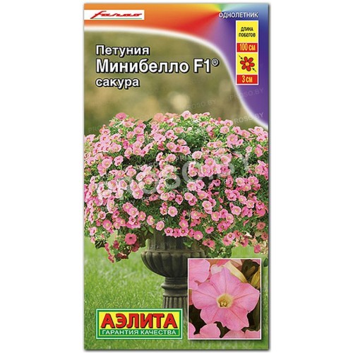Петуния мини многоцветковая Минибелло сакура F1