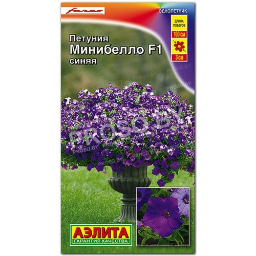 Петуния мини многоцветковая Минибелло синяя F1