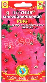 Петуния многоцветковая Роуз