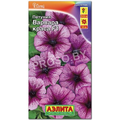 Петуния Варвара краса F1