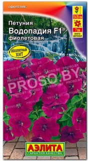 Петуния Водопадия фиолетовая F1