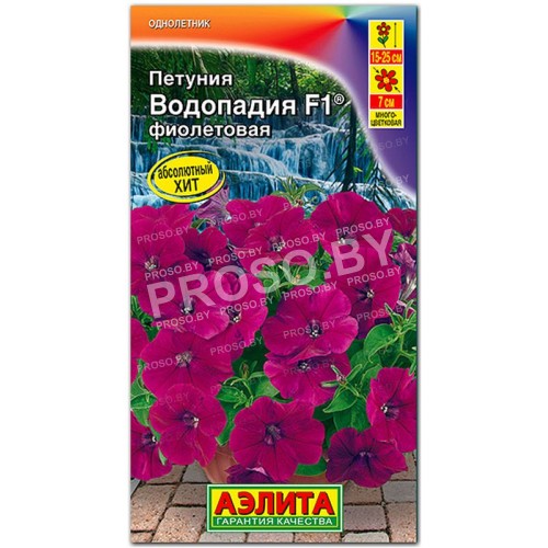 Петуния Водопадия фиолетовая F1