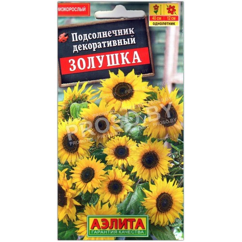 Подсолнечник декоративный Золушка