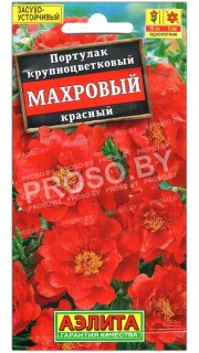 Портулак крупноцветковый Махровый красный