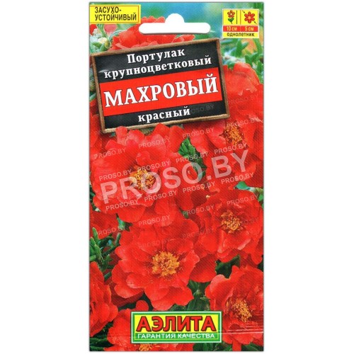 Портулак крупноцветковый Махровый красный