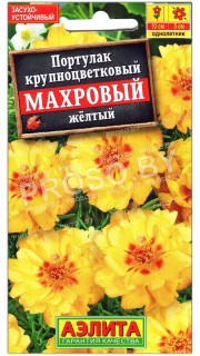 Портулак крупноцветковый Махровый желтый