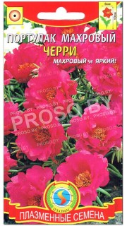 Портулак махровый Черри