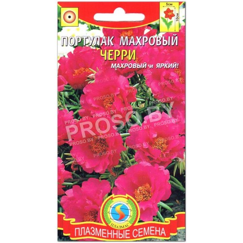 Портулак махровый Черри