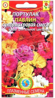 Портулак махровый Павлин, смесь