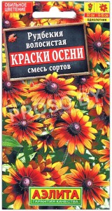 Рудбекия волосистая Краски осени, смесь