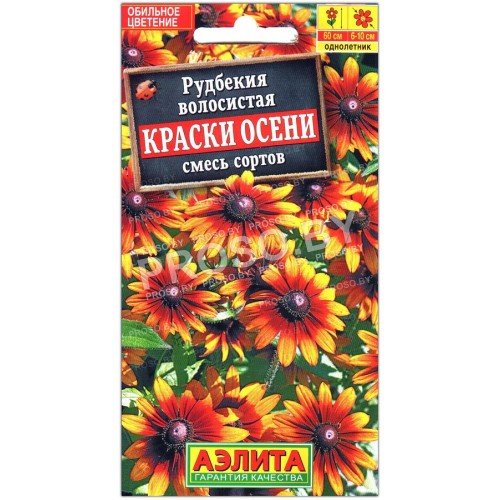 Рудбекия волосистая Краски осени, смесь
