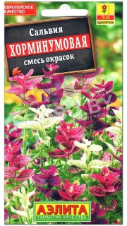 Сальвия Хорминумовая, смесь