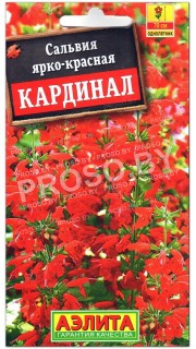 Сальвия Кардинал ярко-красная