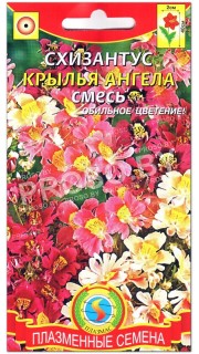 Схизантус Крылья ангела, смесь