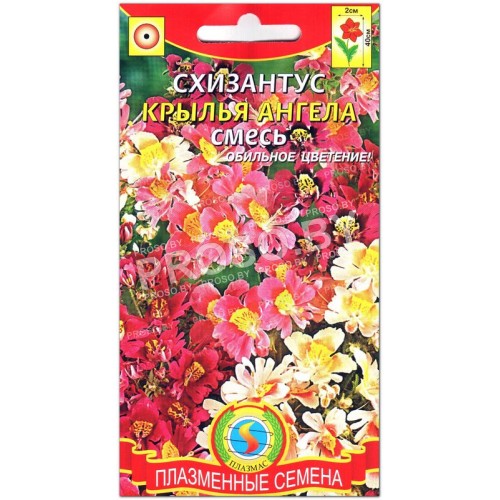 Схизантус Крылья ангела, смесь