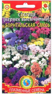 Статице (кермек выемчатый) Борнтальская смесь