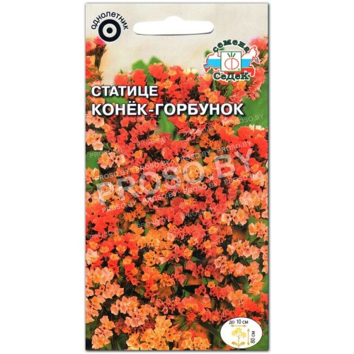 Статице Конек-горбунок