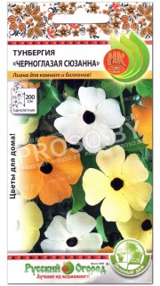 Тунбергия Черноглазая Сюзанна