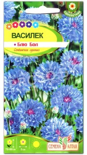 Василек Блю бол