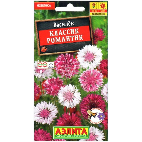 Василек Классик романтик