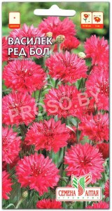 Василек Ред бол