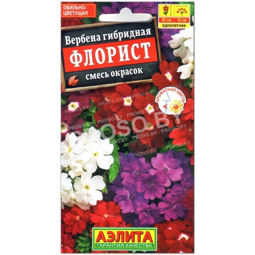 Вербена гибридная Флорист, смесь
