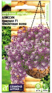 Алиссум Кристалл F1, фиолетовая волна