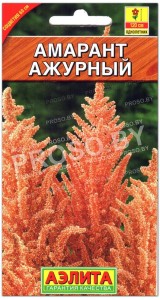 Амарант Ажурный