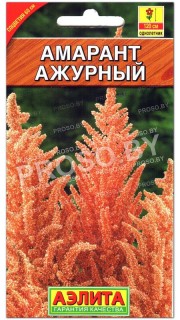 Амарант Ажурный