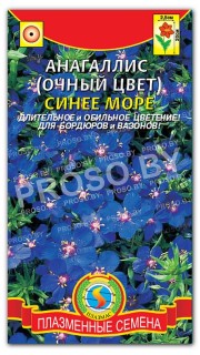 Анагаллис (очный цвет) Синее море
