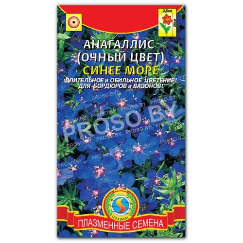 Анагаллис (очный цвет) Синее море