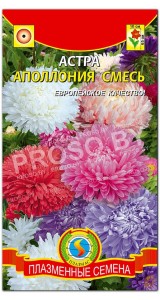Астра Аполлония, смесь
