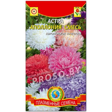 Астра Аполлония, смесь