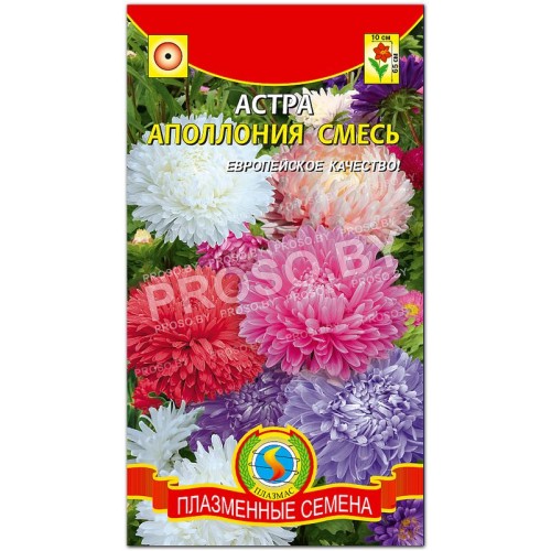 Астра Аполлония, смесь