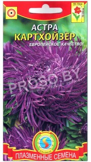 Астра Картхойзер