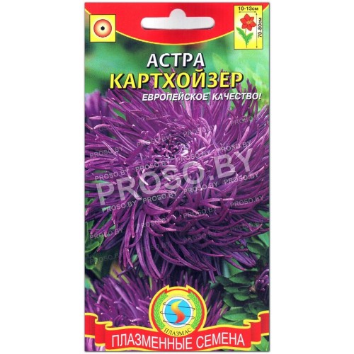 Астра Картхойзер
