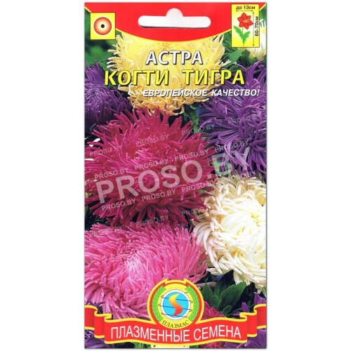 Астра Когти тигра