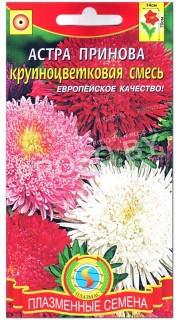 Астра крупноцветковая Принова, смесь
