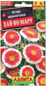 Астра помпонная Хай-но-Мару