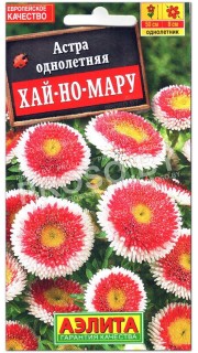 Астра помпонная Хай-но-Мару